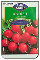RadishScarlet Glob